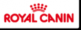 /album/galeria-de-fotos-canil-apolos/royal-png/
